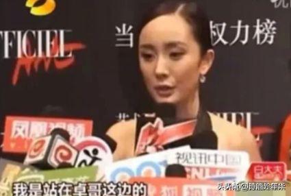 娱乐圈吃瓜会长